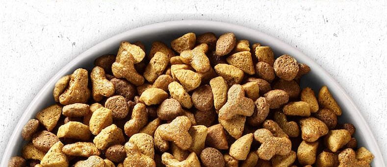 purina-best-dog-food