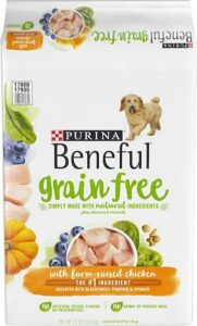 Purina Beneful Adult Dry Dog Food