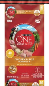 Purina ONE SmartBlend Adult Dry Dog Food