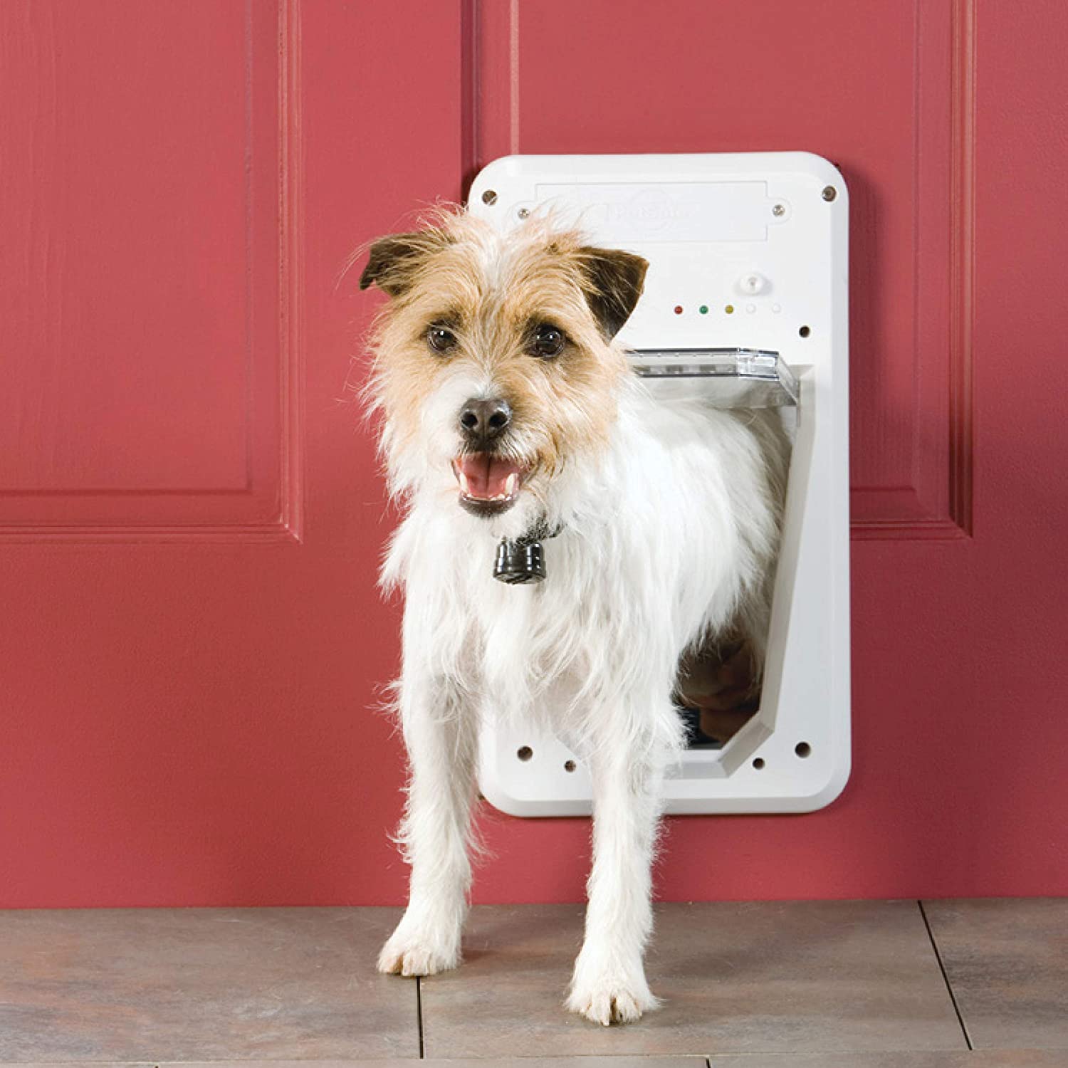 automatic-dog-doors