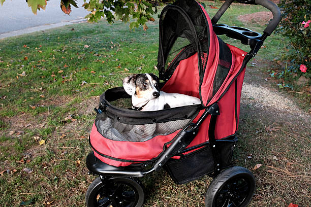 Pet stroller