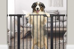 dog-sizing-gates