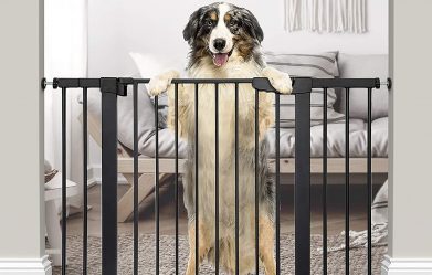 dog-sizing-gates