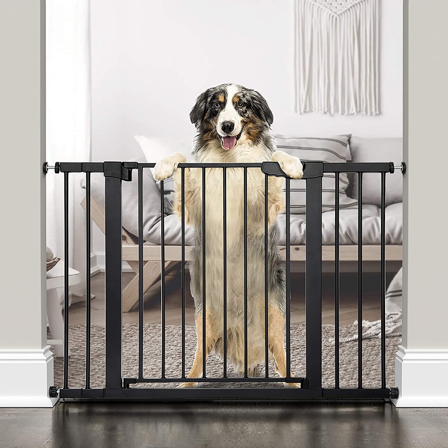 dog-sizing-gates