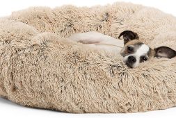 best-covered-dog-beds