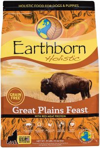 Earthborn Holistic Dog Food