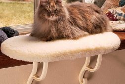 best-cat-window-perches-reviews