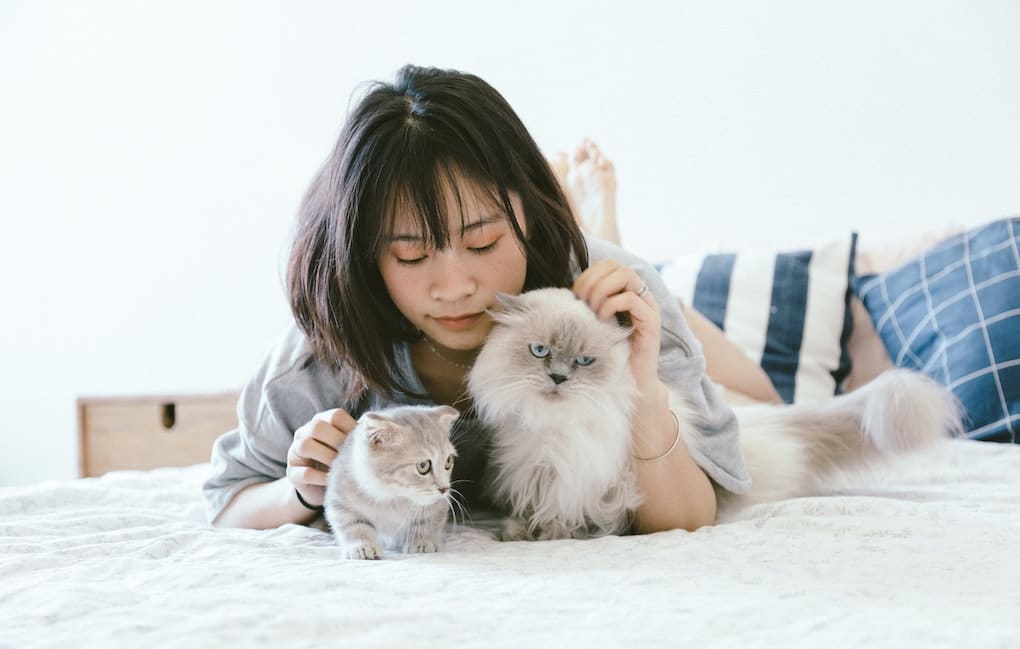 6-benefits-to-owning-a-pet