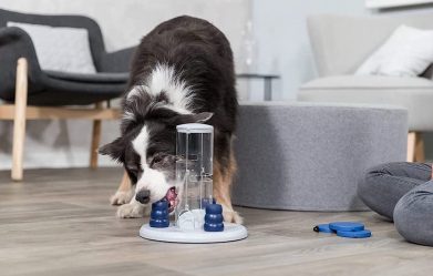 9-best-dog-puzzle-feeders