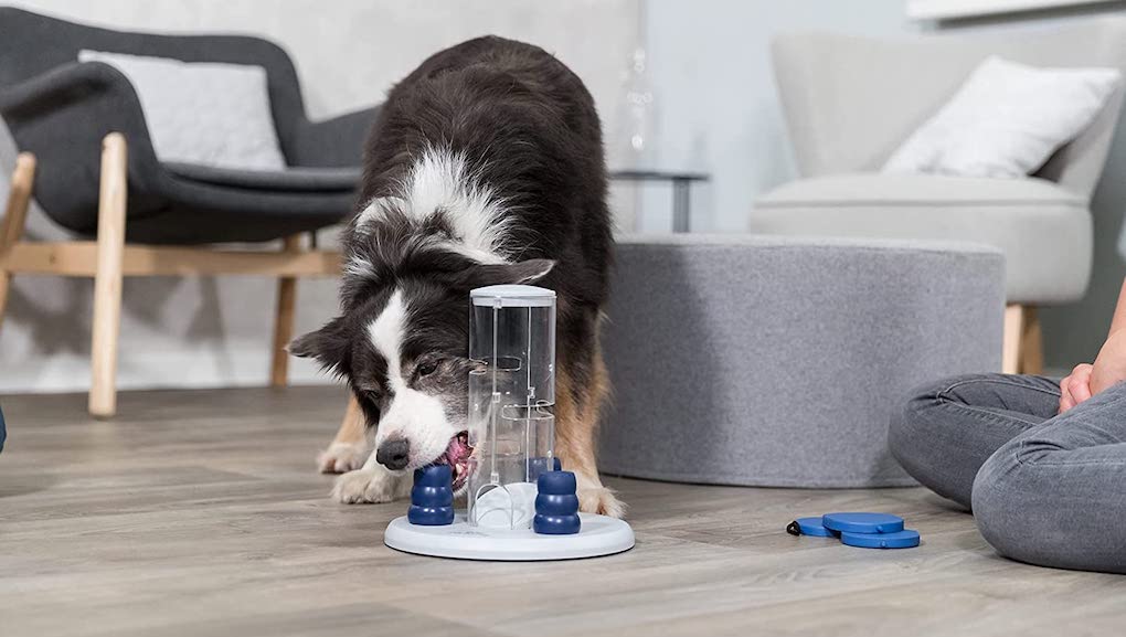 9-best-dog-puzzle-feeders