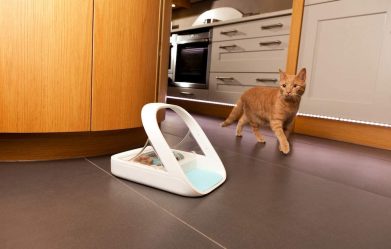 best-cat-feeders-with-collar-sensors