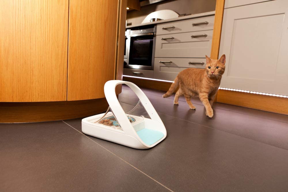 best-cat-feeders-with-collar-sensors