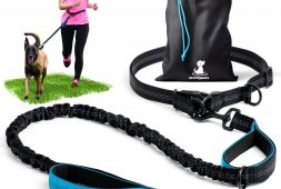 best-leash-for-running-with-dog