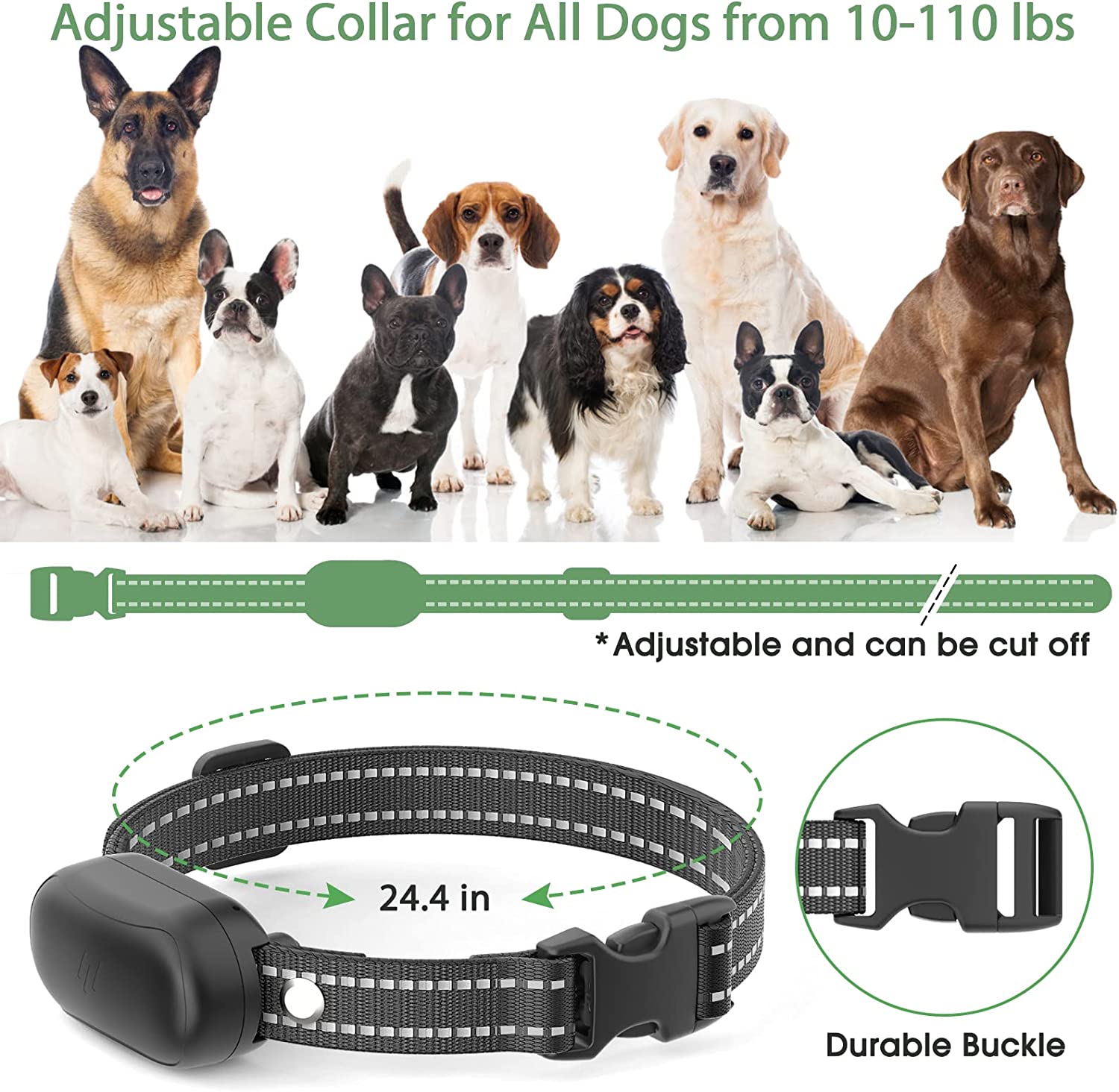 best-training-collars-for-stubborn-dogs