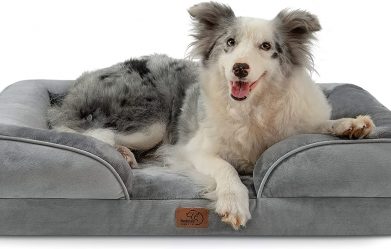 best-washable-dog-beds