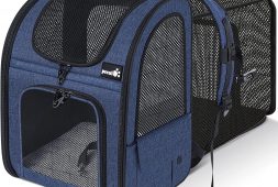 best-cat-carrier-backpack-to-buy